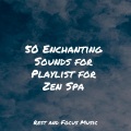 50 Enchanting Sounds for Playlist for Zen Spa