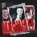 BL Zero、Lebzito、Kamo The Vocalist、Major League Djz、Dj Karri - Marinate (feat. Dj Karri)