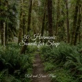 Sleep Waves、White Noise Baby Sleep、Native American Flute - Sweet Connection