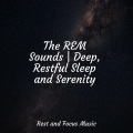 Sleep Music、Ambient Music Therapy、White Noise Sound Garden - Summer Wind Blows