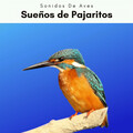 Sonidos De Aves - Ruidos de Aves de la Selva y el Agua para el Alma