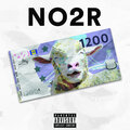 NO2R - 1200