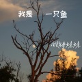 铁锤妹妹 - 我是一只鱼