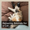 Music For Cats Peace - For a Kitten's Stability