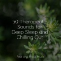 Pet Care Music Therapy、Meditação Maestro、Spa & Spa - Painted Skies