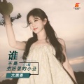 大美香 - 谁不是生活里的小丑 (DJ版)