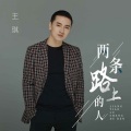 王琪 - 两条路上的人