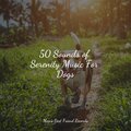 50 Sounds of Serenity Music For Dogs