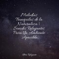 Musica Meditaction、Canciones Infantiles de Niños、Música Relajante para Bebés - Paz Celestial