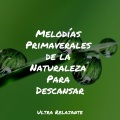 Natureza Musica Bem-Estar Academia、Especialistas de Musica para Dormir、Fabricantes De Lluvia - Conexión Zen