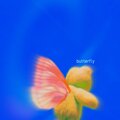 SYAFLEE - Butterfly