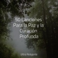 Meditación Maestro、Meditacion Budista Maestros、Música Para Dormir Inspirada En El Espacio - Brisa Marina