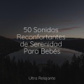 Musica para Massagem Especialistas、Piano Relajante、El hada de las canciones de cuna - Camino De La Cola De Algodón