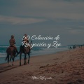 Sonidos de la Naturaleza、Música para Relaxar Maestro、Sueño Lucido - Melodía De Goteo Tranquilo