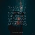 Especialistas de Musica para Dormir、Piano Suave Relajante、Música Para Dormir Inspirada En El Espacio - Melodía De Siesta