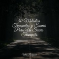 Unidad de música zen relajante、Piano Suave Relajante、Relajantes sonidos de lluvia - En Lo Profundo