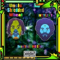 Uncle Shredded Wheat、Rachel Foxx、Dj Intylekt - Feels Good (feat. Rachel Foxx & Dj Intylekt)