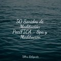 Canciones de Cuna 101、Musica Relajante Specialistas & Musica Relajante、Natureza - Encima Y Abajo