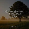 Musica Relajante & Yoga、Música a Relajarse、Música para Meditar y Relajarse - Masaje Auditivo