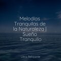 Melodías Tranquilas de la Naturaleza | Sueño Tranquilo