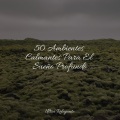 Masaje Relajante Masters、Sonido Del Bosque y Naturaleza、Sons da Natureza & Relaxamento - Nubes Suaves