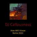 DJ Callousness - How Will I Know (Remix 2022)