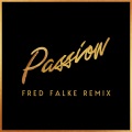 Passion (Fred Falke Remix)