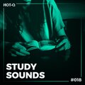Study Sounds 018