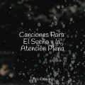 Canciones Para Niños、Maestros de música de la meditación、Academia de Música para Massagem e Relaxamento - Sonidos Para Dormir