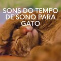 Sons do Tempo de Sono para Gato