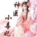 神医小毒妃第二部:废柴七小姐逆袭