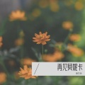 唐艺哲 - 再见莫妮卡