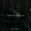 Música Relajante para Perros、Dormir e Meditar、Dormir Mucho - Susurros Junto Al Fuego