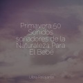 Sonidos De Lluvia y Tormentas、Dulces Sueños、Lluvia - Olas De Sueño