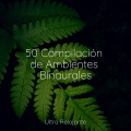 Sonido de lluvia、Musica Relajante、Música de la Naturaleza - Recuerdos Aztecas