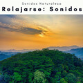 Sonidos Naturaleza - La Selva Perfecta con Pájaros para Calmarse con Ruidos de la Naturaleza pt. 3