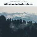 Sonidos Naturaleza - Duerme Instantáneo con Sonidos Tranquilos del Mar pt. 4