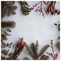 Dixon Banovich、Stephanie Möller - Hey You