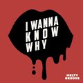 Melty Groove、Alberto Marsico - I wanna know why (feat. Alberto Marsico)