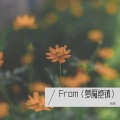张鹏 - Que Sera Sera