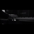 Fn.Trader - 男孩 (Live)