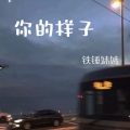 铁锤妹妹 - 你的样子