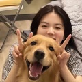 我是阿格 - 车窗外你和他