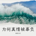杨苑子艺 - 为何真情被辜负