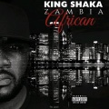 King Shaka Zambia - What I wanna hear