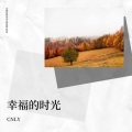 CNLY - 天际