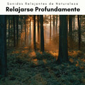 Sonidos Relajantes de Naturaleza - Ruidos de la Naturaleza para Sueños pt. 3