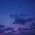小意 - Una Mattina