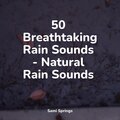 50 Breathtaking Rain Sounds - Natural Rain Sounds