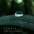 Lluvia: Clima Frío y Tranquilo